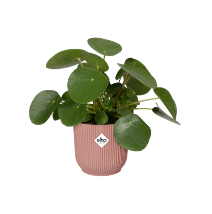 Macetero vibes fold round delicate pink Elho 25 cm