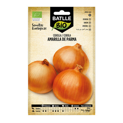 Semillas de Cebolla amarilla de Parma ecológicas Batlle