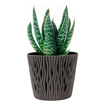 Maceta Duna con inserto gris topo D 19 x 17