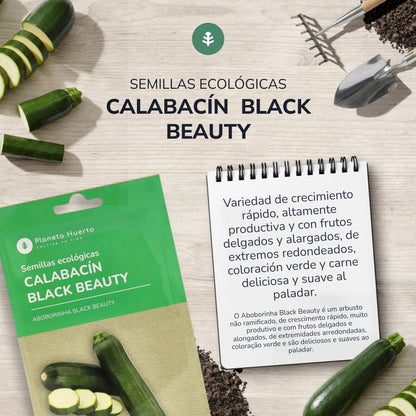 Semillas de Calabacín Black Beauty ecológicas Planeta Huerto