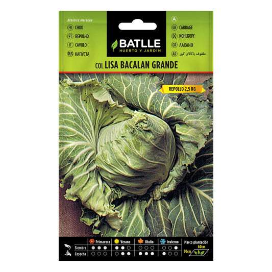 Semillas de Col repollo Bacalan grande Batlle
