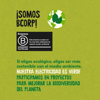 Copos de Maíz Tostado Bio edición Disney Ecocesta 400 g