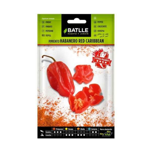 Semillas de  Pimiento Habanero Red Caribean
