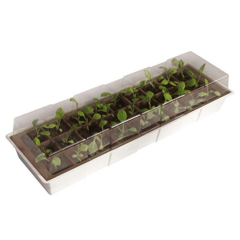 Mini invernadero repisa ventana Kit Windows Nortene