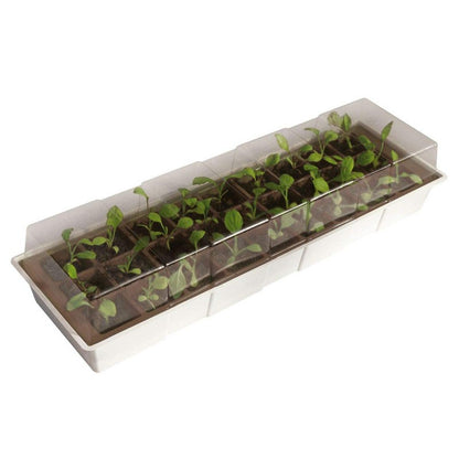 Mini invernadero repisa ventana Kit Windows Nortene