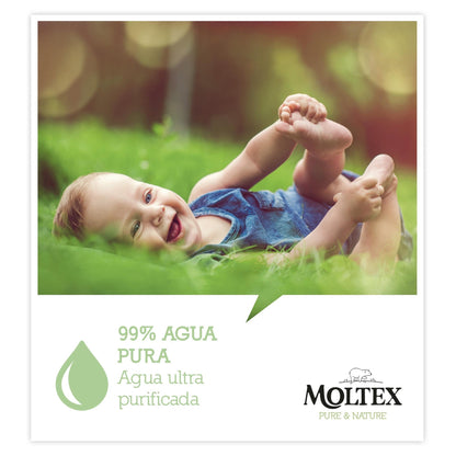 Pack 6 x Toallitas Moltex Pure & Nature 60 Uds