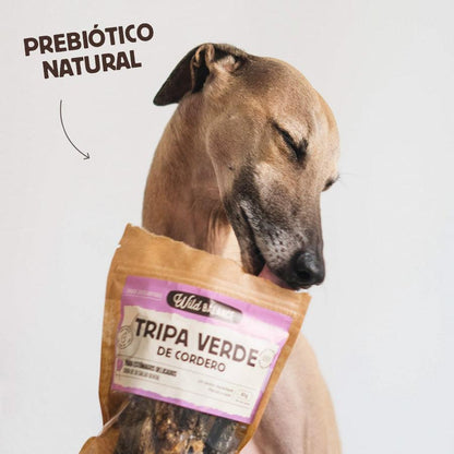 Snack Natural Tripa verde de cordero Wild Balance 100 g