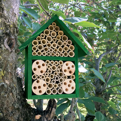Hotel de insectos Bambú Verdemax