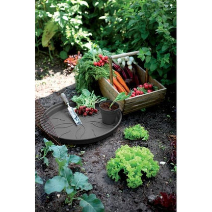 Plato tiesto Green Basics Elho Antracita 22 cm