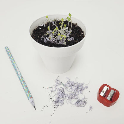 Lápiz de semillas plantable