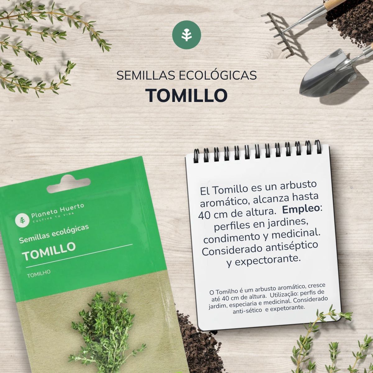Semillas de Tomillo ecológicas Planeta Huerto