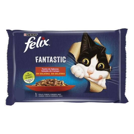 FELIX Fantastic Festín de Sabores en Gelatina 12x85g