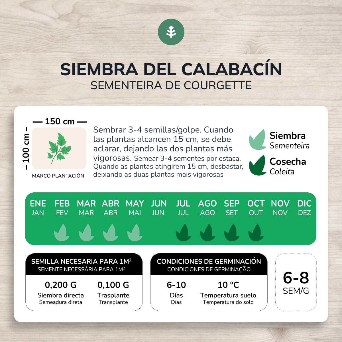 Semillas de Calabacín Black Beauty ecológicas Planeta Huerto