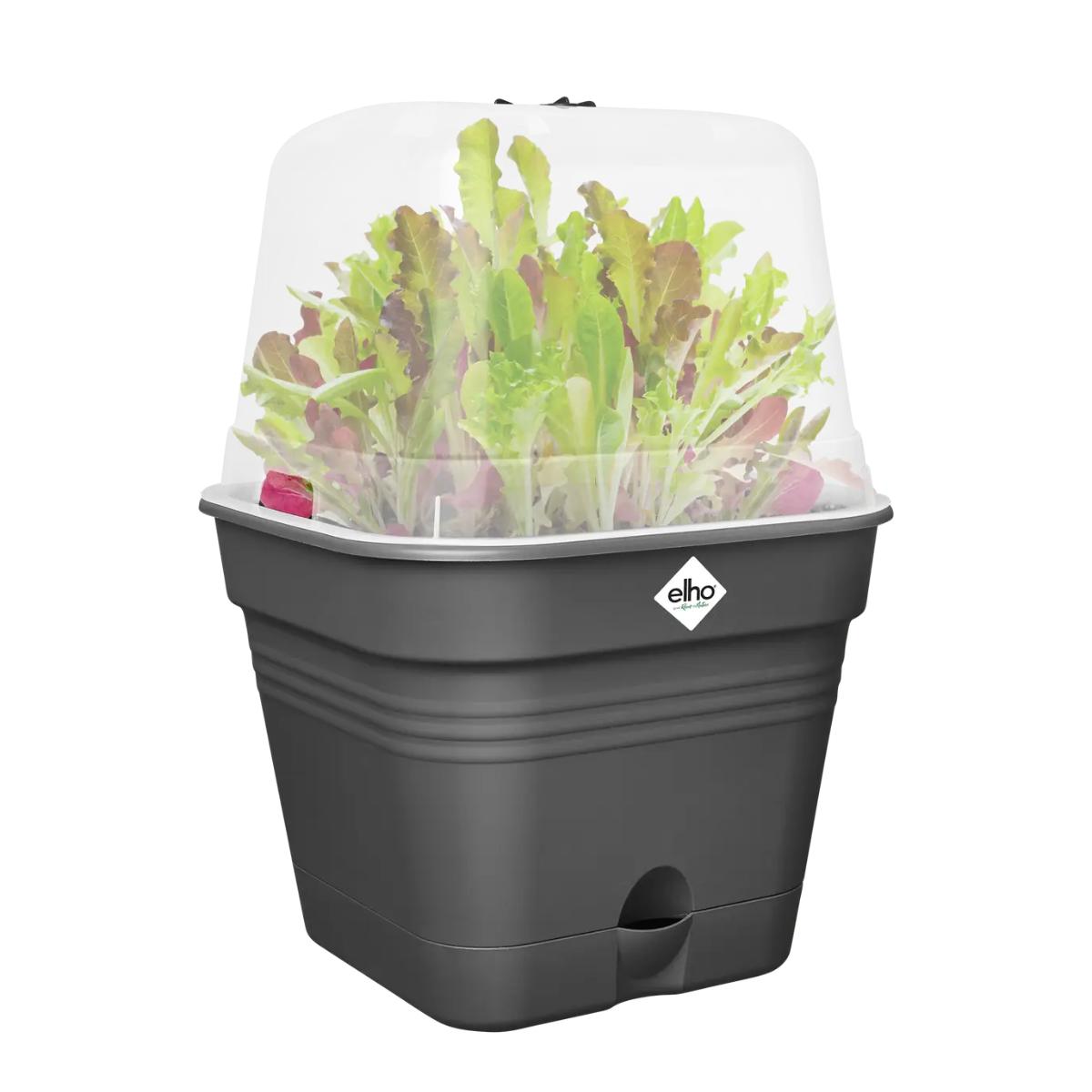 Maceta de cultivo Green Basics Elho Antracita 30 cm