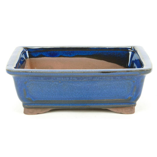 Tiesto bonsáis rectangular azul basic Class 20 cm