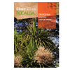 Semillas de Dracena, Rocalba