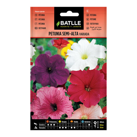 Semillas petunia semi-alta variada