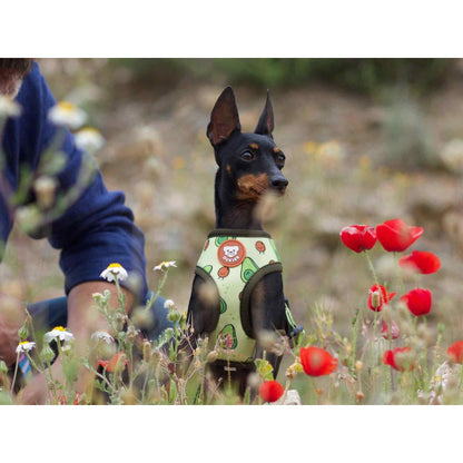 Arnés reversible para perro AVOCADO Dukier XL