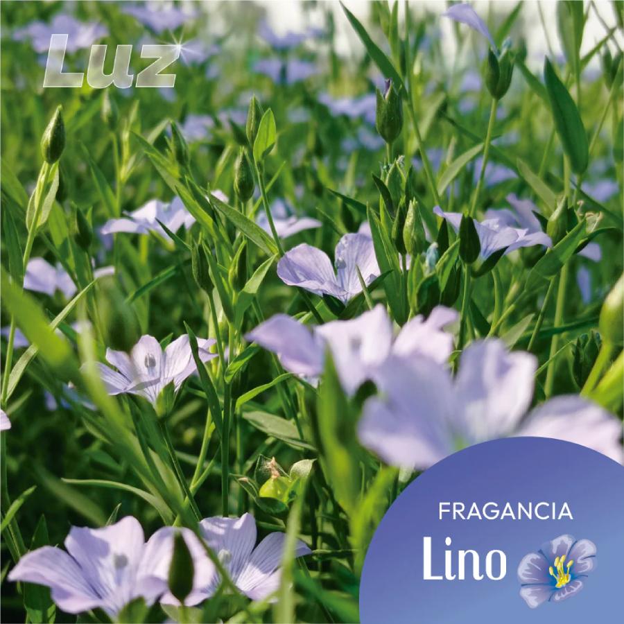 Detergente Ecológico para Ropa en Tiras Luz 40 lavados
