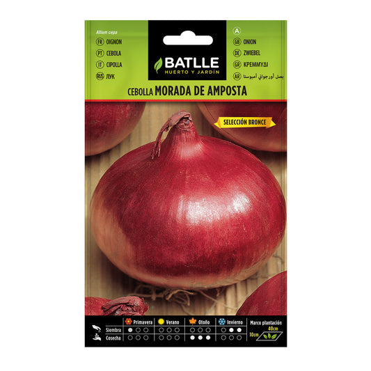 Semillas de  Cebolla morada de Amposta sel. Bronce