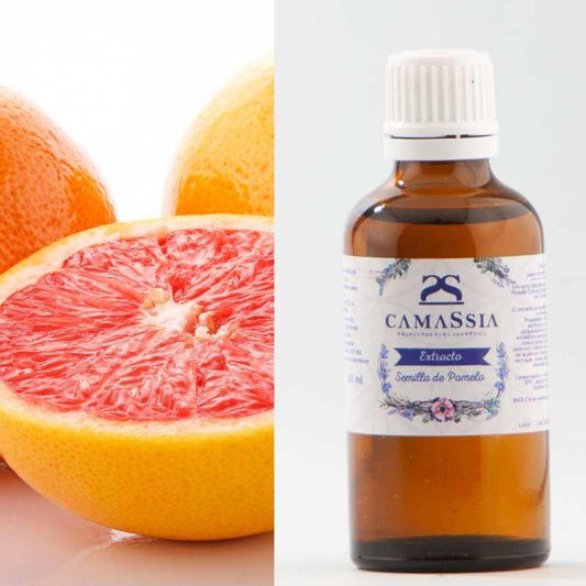 Extracto de semillas de pomelo Camassia