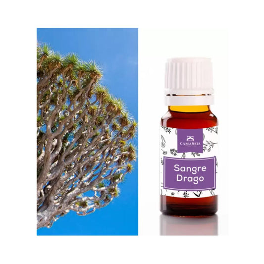 Sangre de drago (Sangre de grado), 10ml. Camassia
