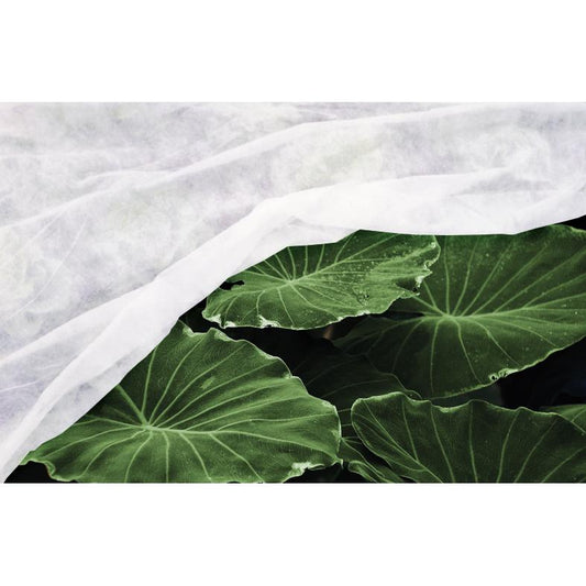 Velo de hibernación antiheladas Visa Garden 2x5