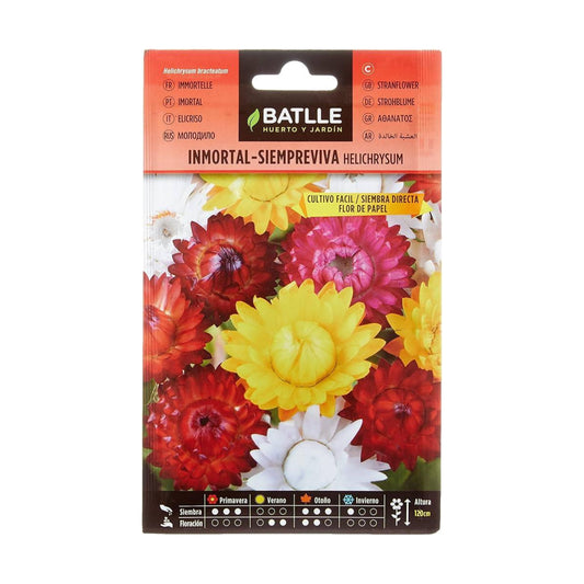 Semillas de  Inmortal Siempreviva flor de papel Batlle