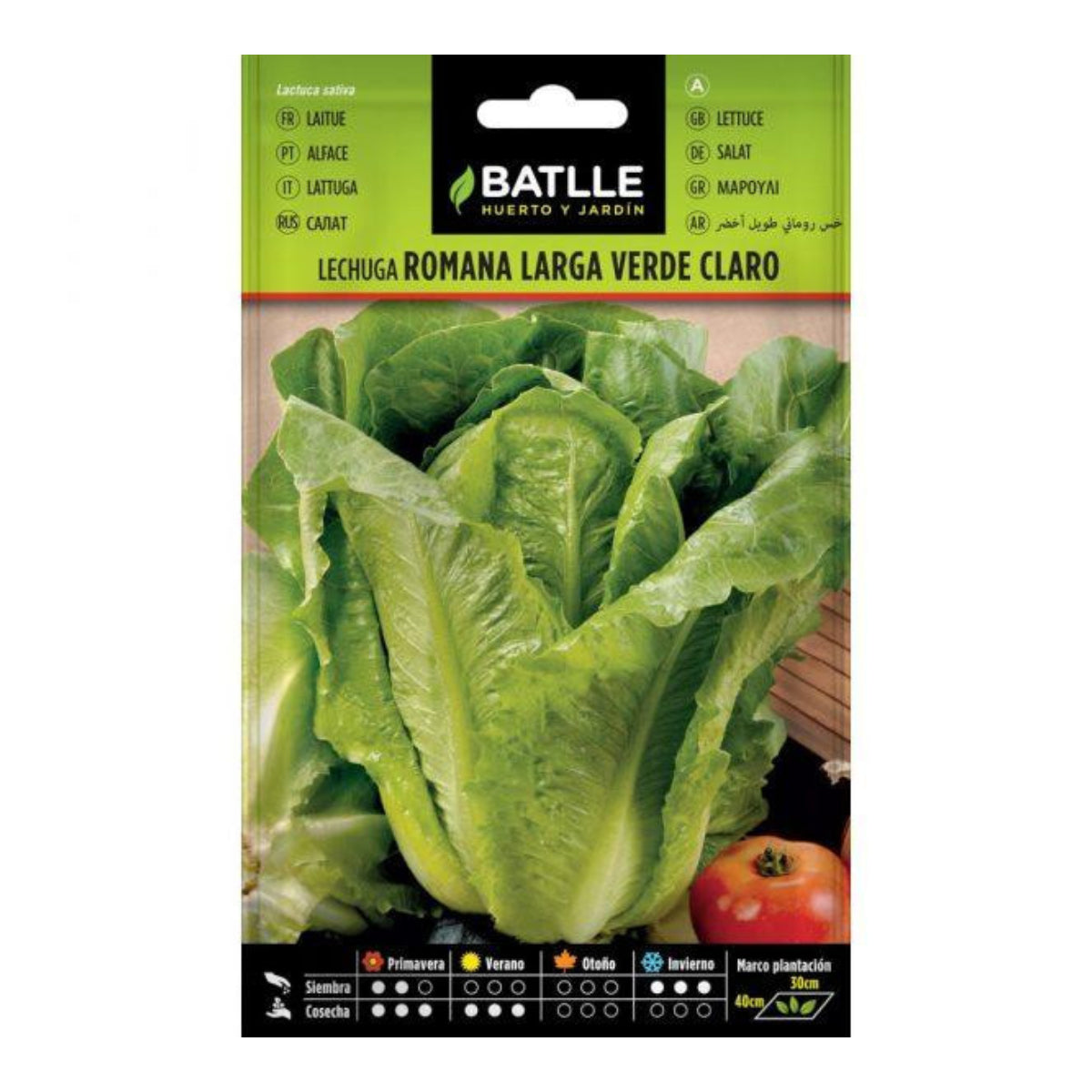 Semillas de  Lechuga Romana Larga Verde Claro