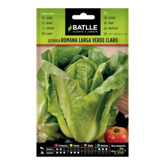 Semillas de  Lechuga Romana Larga Verde Claro