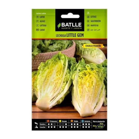 Semillas de  Lechuga Little gem cogollo