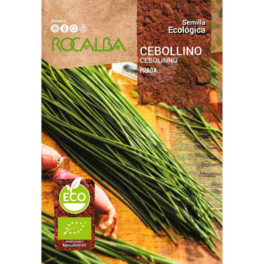 Semillas ecológicas de cebollino Praga Rocalba