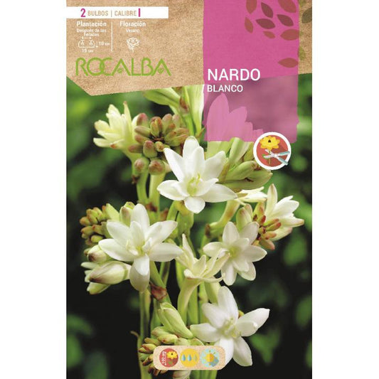 Nardo Blanco 2 unidades
