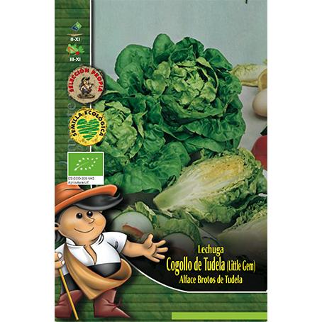 Semillas ecológicas de Lechuga Cogollitos de Tudela