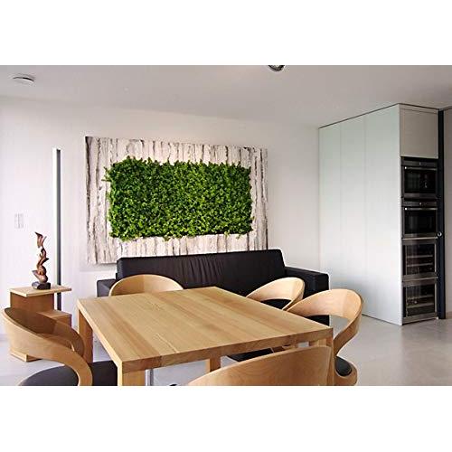 Jardín vertical artificial Tropic Nortene 1x1 m