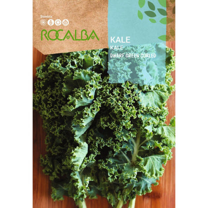 Semillas de Kale dwarf green curled