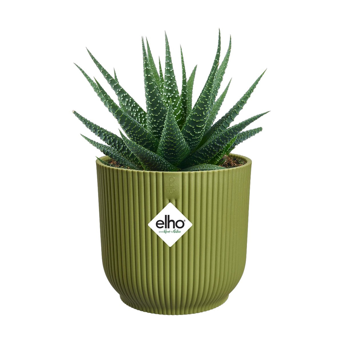 Maceta Verde Helecho Vibes Fold Round Mini Elho 9cm 100% reciclado