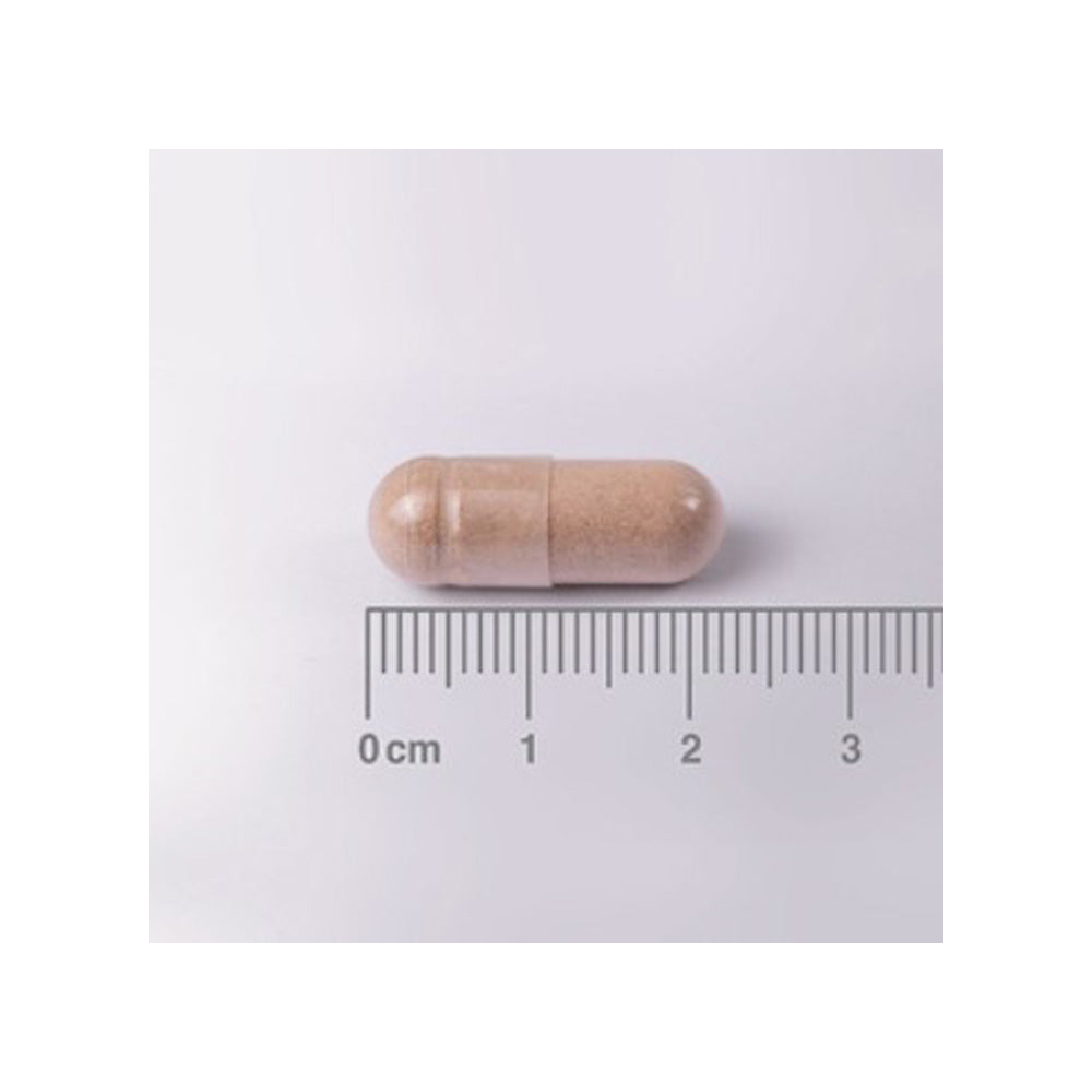 L-Teanina 200 mg, Lamberts, 60 cápsulas