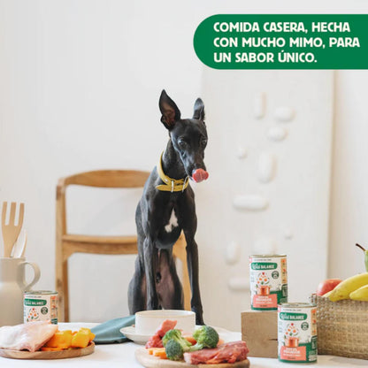 Lata completa Guiso del Pescador con Salmón y Cerdo para Perros Wild Balance 400gr