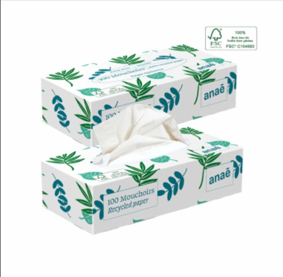 Pañuelos de papel fibras recicladas caja Anaé 100 uds