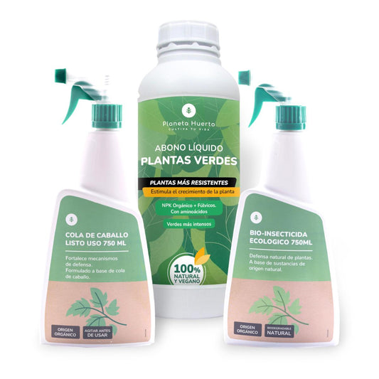 Pack Cuidados para Plantas de Interior