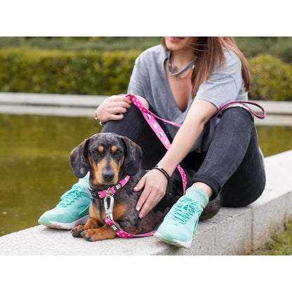 Collar para perro DOGTELLA Dukier