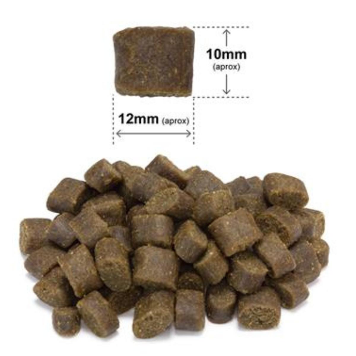 Fresh Ocean Fish Arquivet Pienso semihúmedo completo para perros 2,5 kg