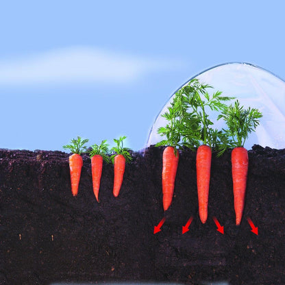 Film de Cultivo Verduras tempranas Climafilm Nortene 2 x 5 m