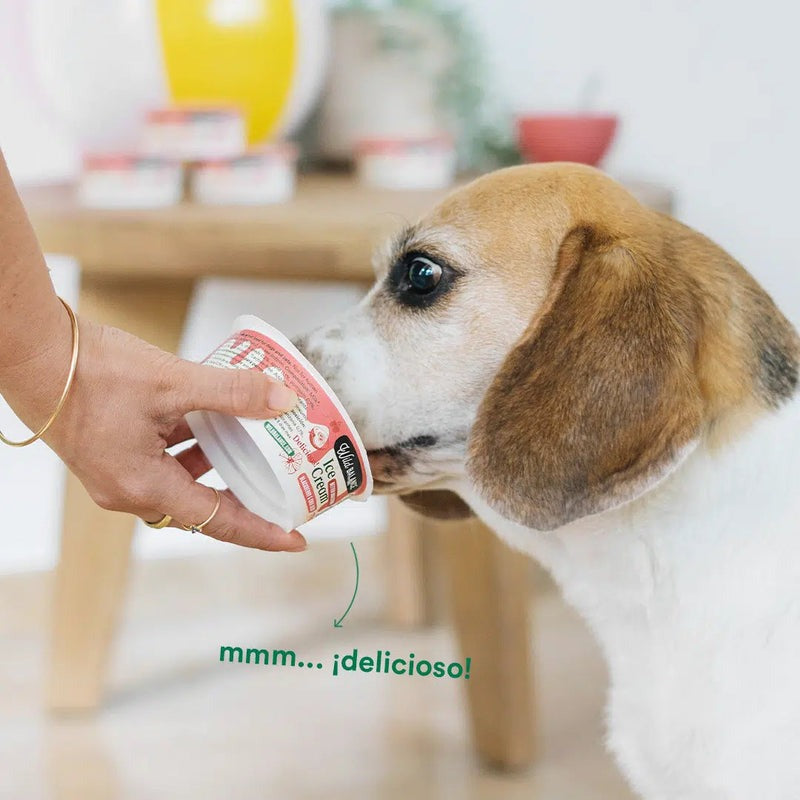 Yogur helado para perros y gatos con prebióticos naturales Wild Balance 110g