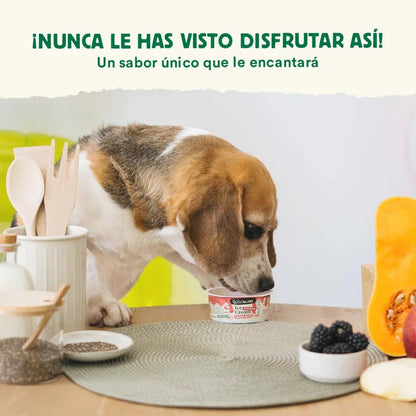 Yogur helado para perros y gatos con prebióticos naturales Wild Balance 110g