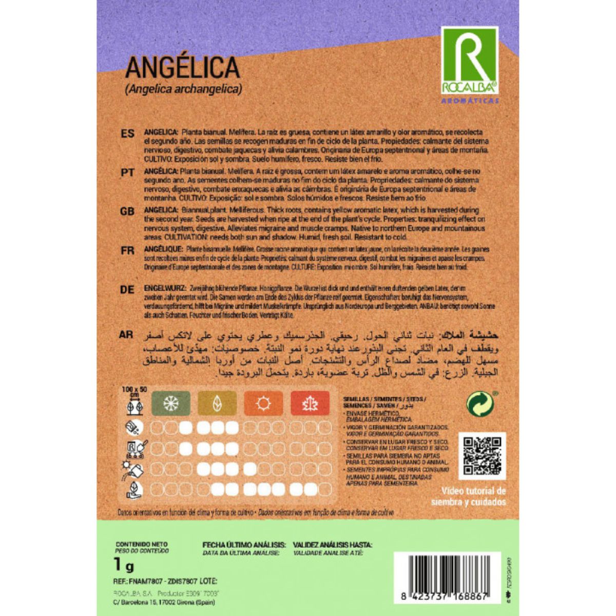 Semillas de Angélica