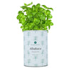 Kit de cultivo aromáticas Albahaca Planeta Huerto