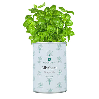 Pack Cofre Kits de cultivo aromáticas Planeta Huerto