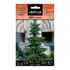Semillas de  Árbol de Navidad